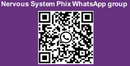 Nervous System Phix (powder) - Support normal nervous system and inflammation + reduce fatigue - Phytaphix