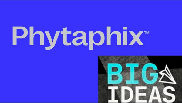 Phytaphix reach All Ireland final of BIG IDEAS 2022