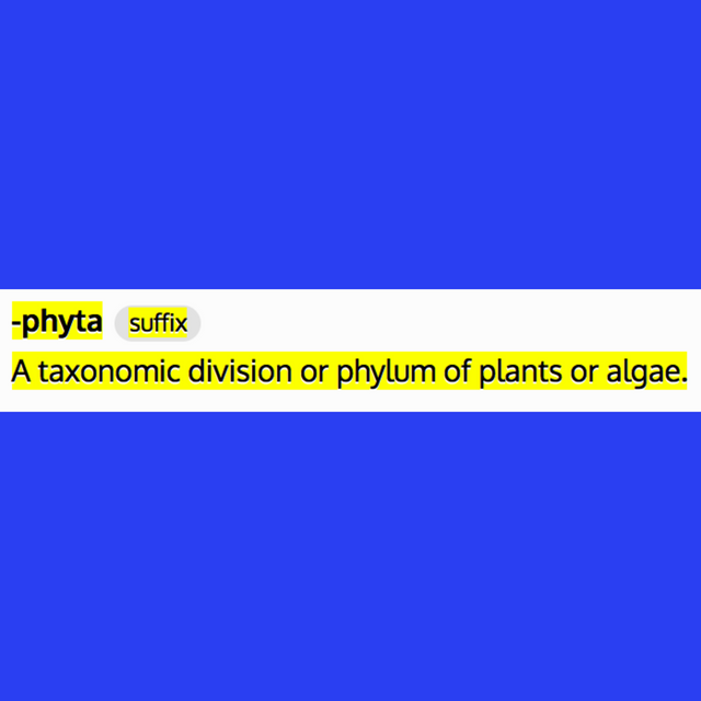 Plant based nutrition