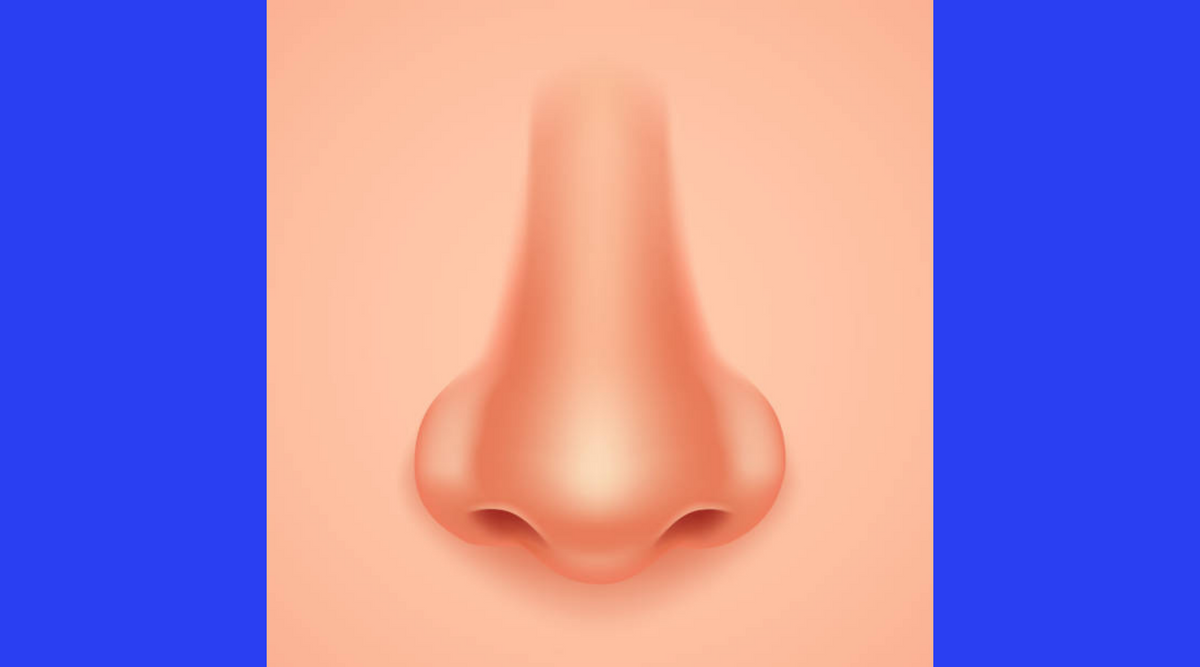 Best supplements and nutraceuticals for COVID-19 smell changes: parosmia, hyposmia, anosmia - the scientific evidence