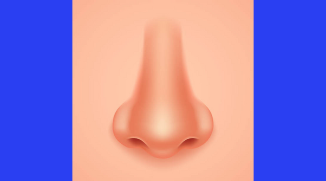 Best supplements and nutraceuticals for COVID-19 smell changes: parosmia, hyposmia, anosmia - the scientific evidence
