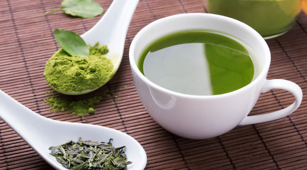 Best supplements, vitamins and nutraceuticals for Myalgic Encephalomyelitis (ME): the scientific evidence on Matcha Green Tea