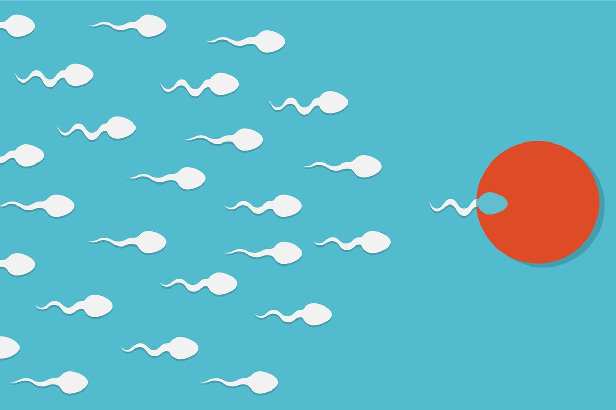 Dr. Kerley's expert feature on male fertility in this weeks Irish Independent