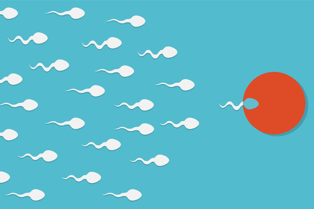 Dr. Kerley's expert feature on male fertility in this weeks Irish Independent