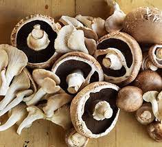 Mushroom