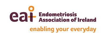 Phytaphix founder, Dr. Conor Kerley, speaks at 2019 Endometriosis Association of Ireland conference