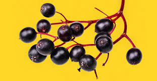 Elderberry