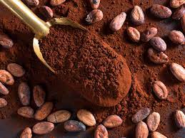 Best supplements, vitamins and nutraceuticals for Chronic Fatigue Syndrome (CFS): the scientific evidence on Cocoa and Chronic Fatigue Syndrome (CFS)