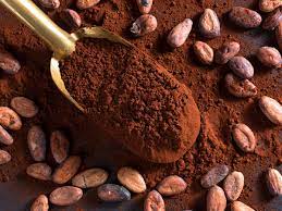 Best supplements, vitamins and nutraceuticals for Multiple Sclerosis (MS): the scientific evidence on Cocoa and Multiple Sclerosis (MS)