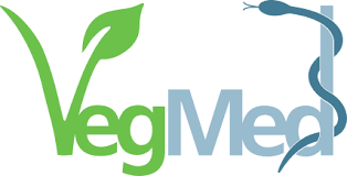 Phytaphix founder, Dr. Conor Kerley, presents at VegMed - a unique, international scientific conference on medicine and plant-based nutrition