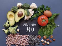 Foods highest in folate