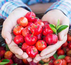 Acerola cherry