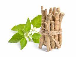 Best supplements and nutraceuticals for COVID-19: the scientific research on ashwagandha and COVID-19