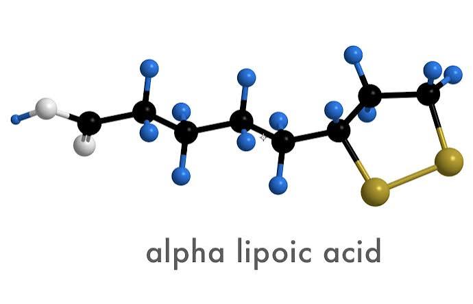 Lipoic acid shows benefit for Multiple Sclerosis in world first