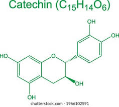 Catchins