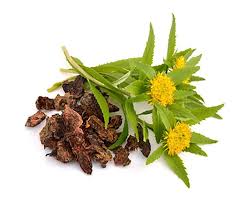 Best supplements, vitamins and nutraceuticals for Myalgic encephalomyelitis (ME): the scientific evidence on Rhodiola Rosea and Myalgic encephalomyelitis (ME)