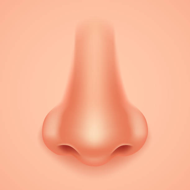 Anosmia: what is it and how can it be treated?