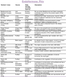 Best Endometriosis supplement