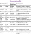 Nervous System Phix (powder) - Support normal nervous system and inflammation + reduce fatigue - Phytaphix