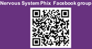 Nervous System Phix (powder) - Support normal nervous system and inflammation + reduce fatigue - Phytaphix