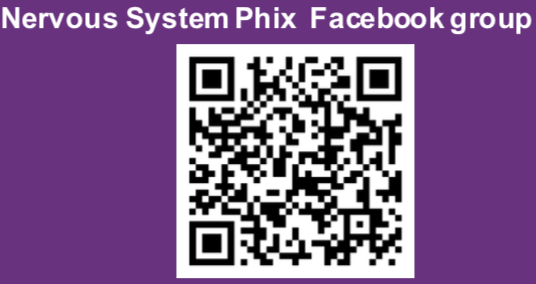 Nervous System Phix (powder) - Support normal nervous system and inflammation + reduce fatigue - Phytaphix